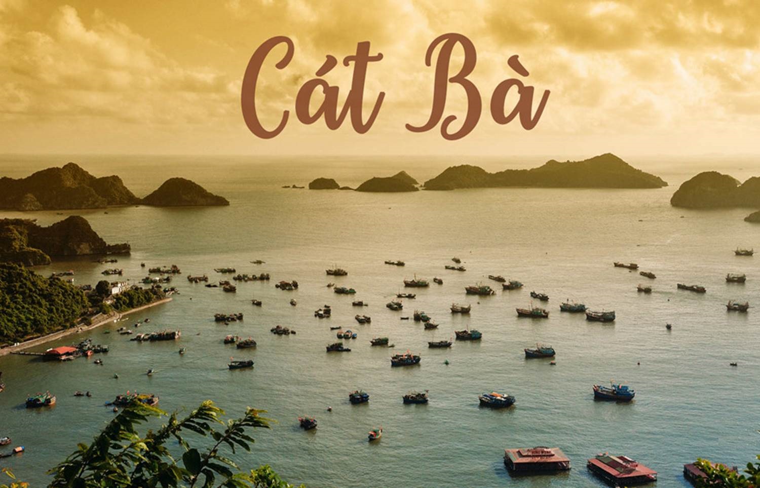KHÁM PHÁ ĐẢO CÁT BÀ 2 NGÀY 1 ĐÊM